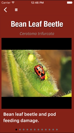 Purdue Extension Soybean Field Scout Preview screenshot 1 of 4