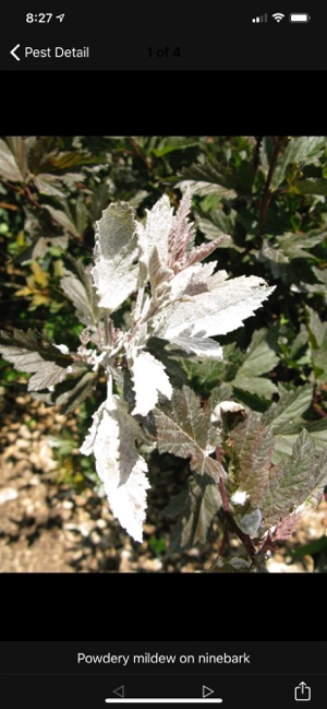 Purdue Shrub Doctor screenshot 3 of 10