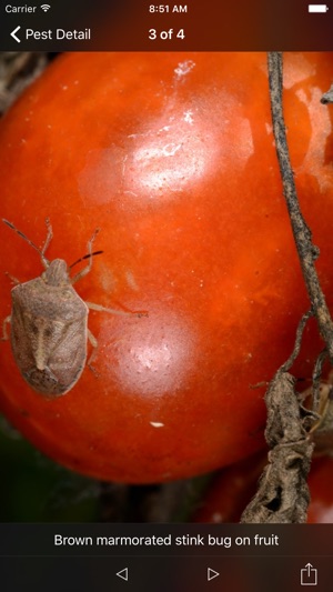 Purdue Tomato Doctor screenshot 3 of 10