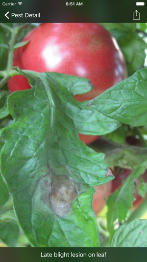 Purdue Tomato Doctor screenshot 4 of 10