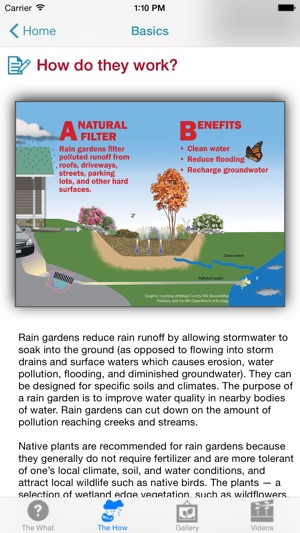 Rain Garden screenshot 2 of 5