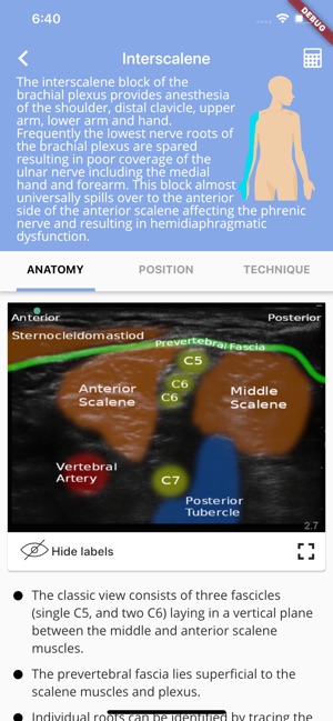 Regional Anesthesia Reference screenshot 5 of 9
