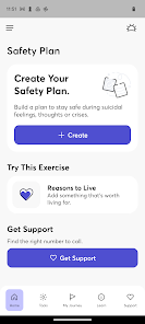Safety Plan screenshot 15 of 21