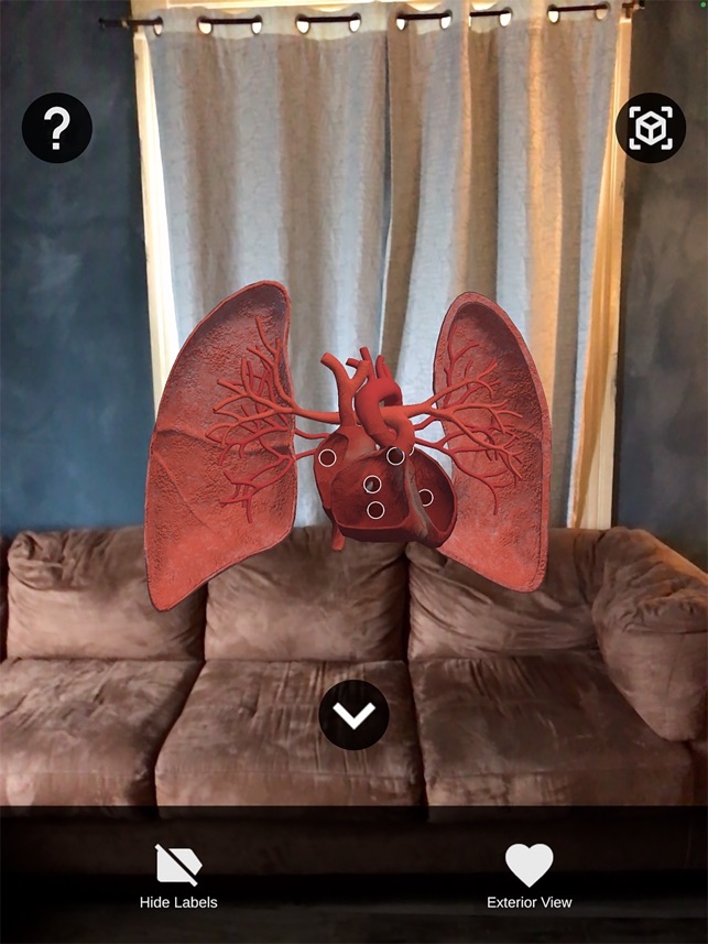 Scry: Augmented Learning screenshot 3 of 12