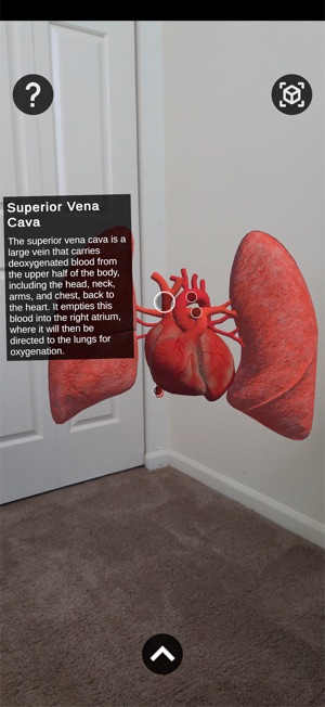 Scry: Augmented Learning screenshot 6 of 12