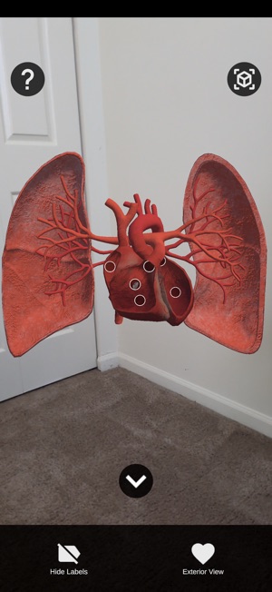 Scry: Augmented Learning screenshot 7 of 12