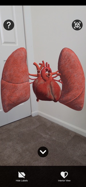 Scry: Augmented Learning screenshot 8 of 12