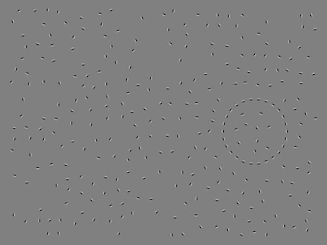 Sightseeing screenshot 5 of 30