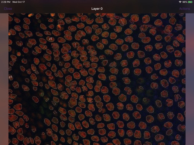 Silhouette Connect screenshot 2 of 2