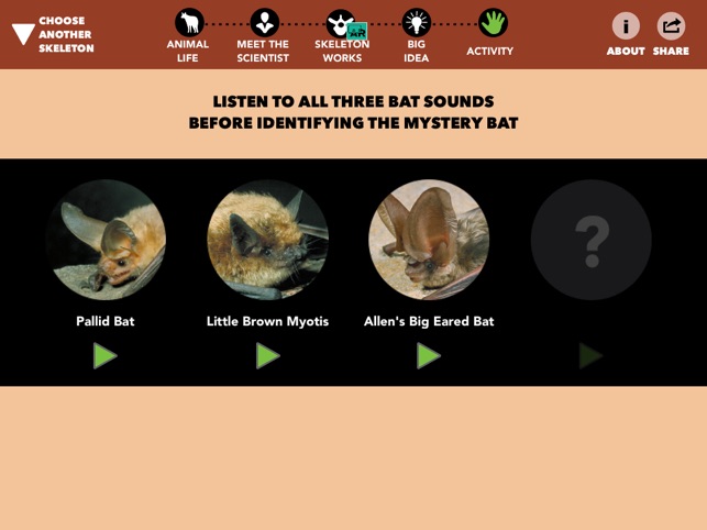 Skin & Bones screenshot 4 of 10