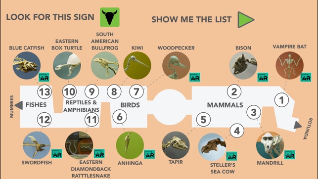 Skin & Bones screenshot 7 of 10