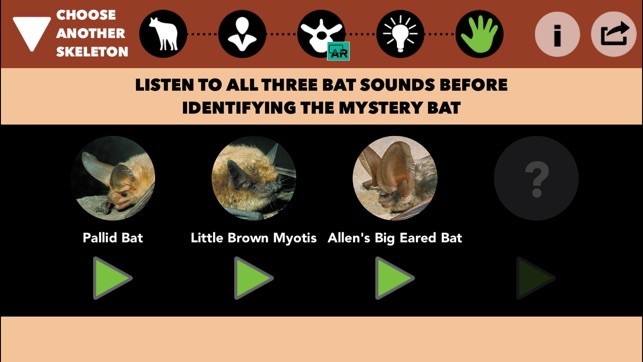 Skin & Bones screenshot 9 of 10