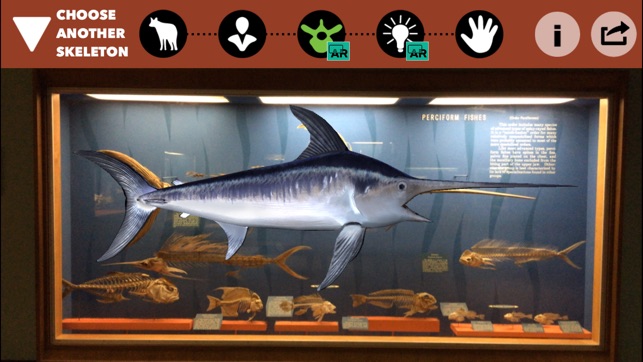 Skin & Bones screenshot 10 of 10