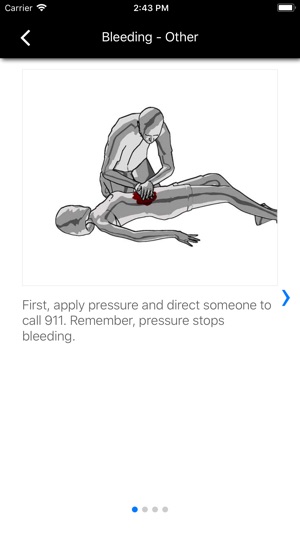 Stop the Bleed screenshot 14 of 26