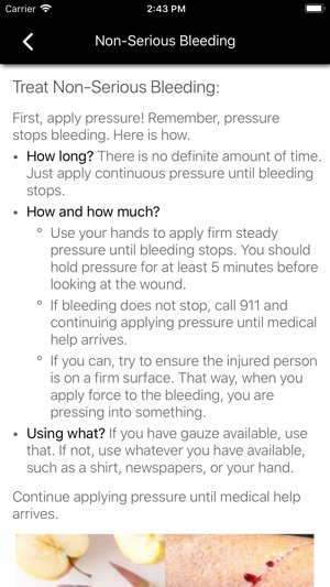 Stop the Bleed screenshot 15 of 26