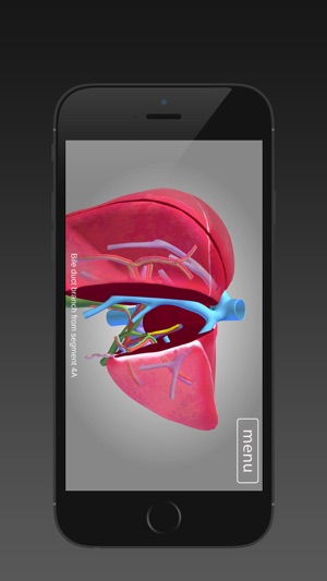 Surgical Anatomy of the Liver (iPhone) screenshot 2 of 5