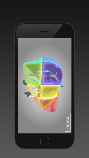 Surgical Anatomy of the Liver (iPhone) screenshot 4 of 5