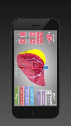Surgical Anatomy of the Liver (iPhone) screenshot 5 of 5