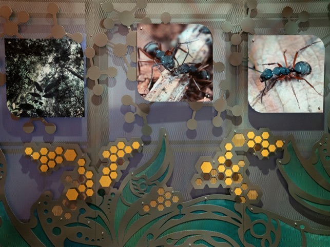 The Zombie Ant Experience screenshot 2 of 2