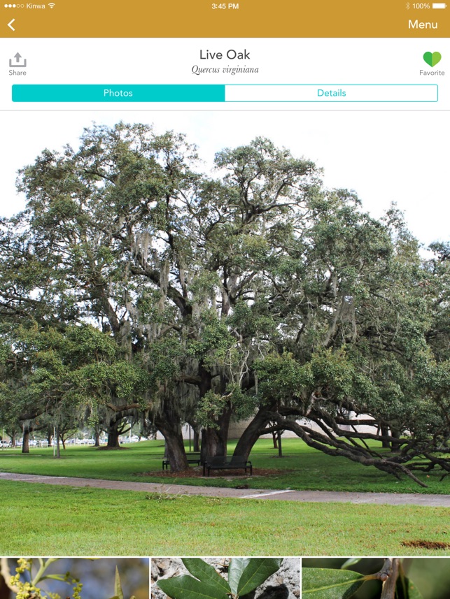 Trees: North & Central Florida screenshot 1 of 10