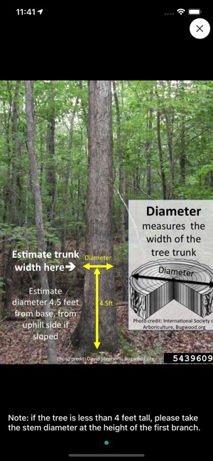 TreeSnap screenshot 4 of 8