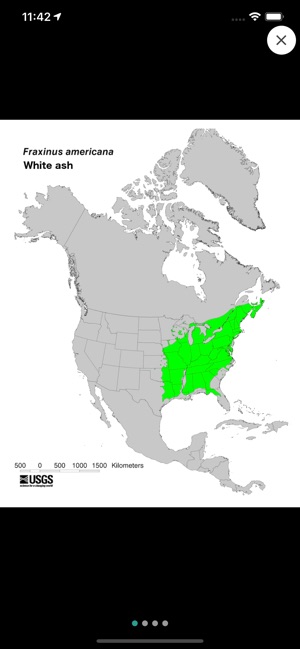 TreeSnap screenshot 5 of 8