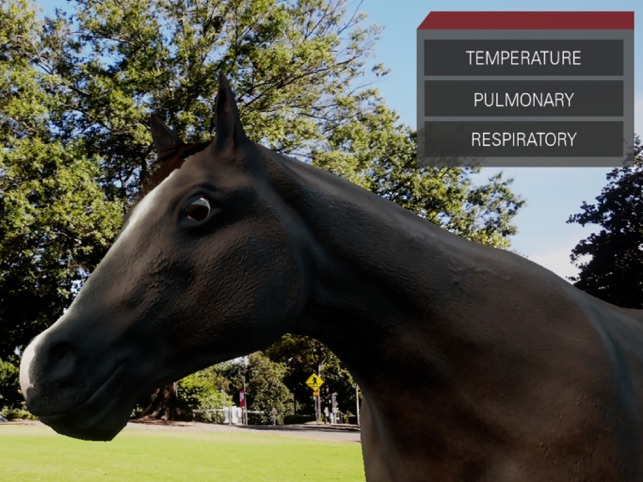 Trot To Trophy 2: TPR AR screenshot 1 of 13