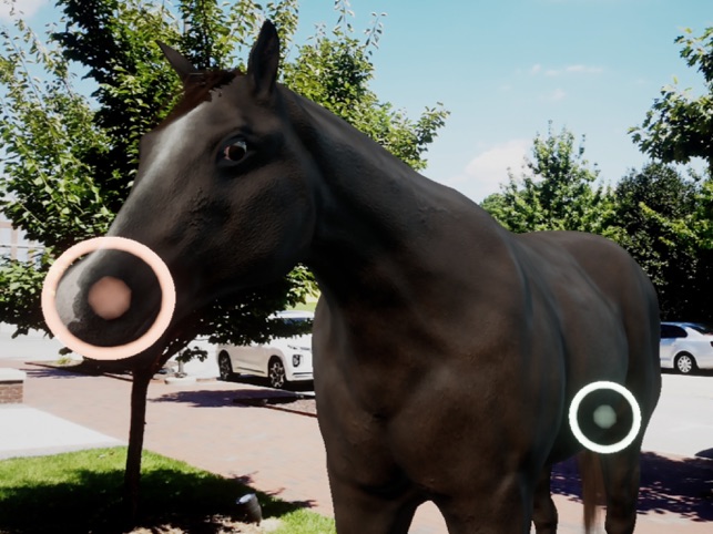 Trot To Trophy 2: TPR AR screenshot 2 of 13