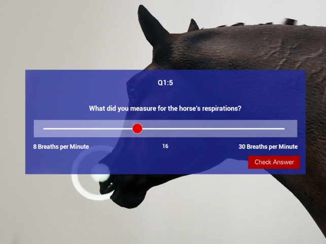 Trot To Trophy 2: TPR AR screenshot 3 of 13