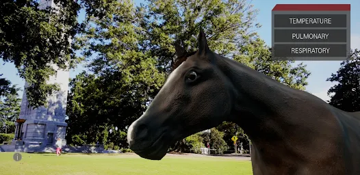 Trot To Trophy 2: TPR AR screenshot 10 of 13