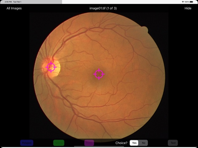 TruthMarker screenshot 2 of 2