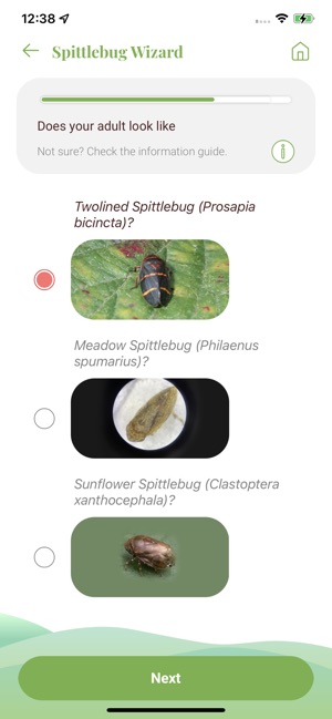 Twolined Spittlebug Tool screenshot 3 of 12