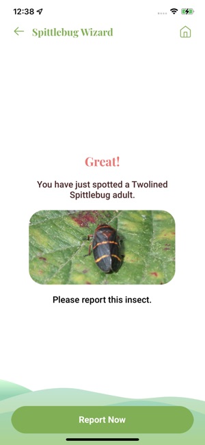 Twolined Spittlebug Tool screenshot 4 of 12