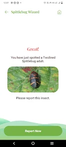 Twolined Spittlebug Tool screenshot 10 of 12