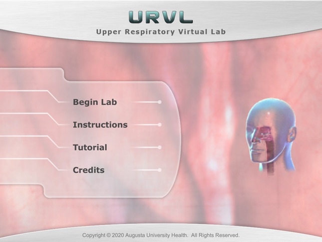 Upper Respiratory Virtual Lab screenshot 1 of 4