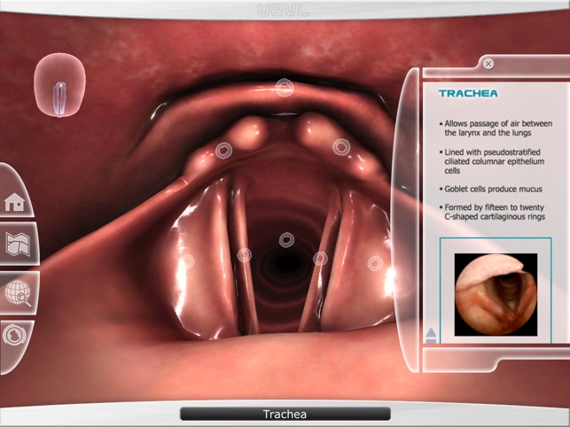Upper Respiratory Virtual Lab screenshot 2 of 4