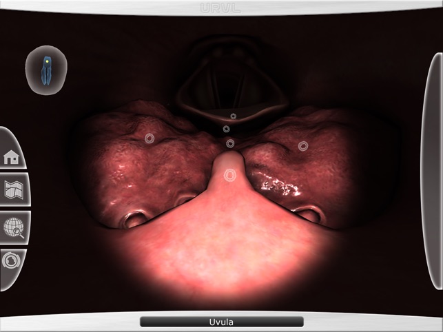 Upper Respiratory Virtual Lab screenshot 4 of 4