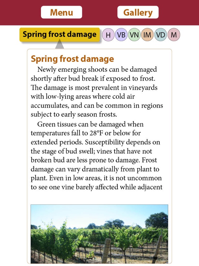 Vineyard Growth screenshot 2 of 6