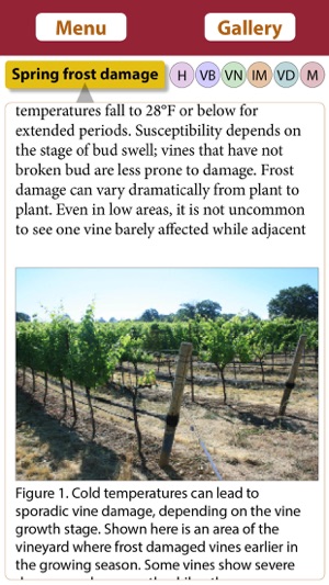 Vineyard Growth screenshot 5 of 6
