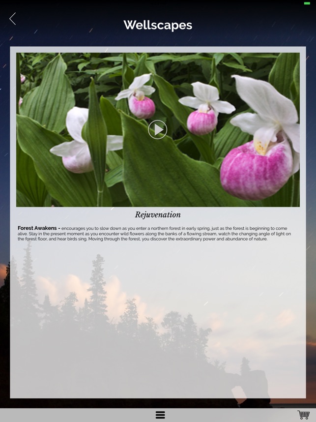 Wellscapes screenshot 2 of 6