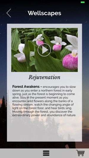Wellscapes screenshot 5 of 6
