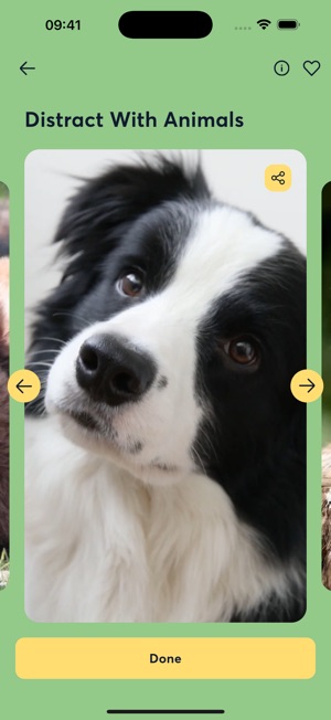 WellWithin Coach screenshot 7 of 15