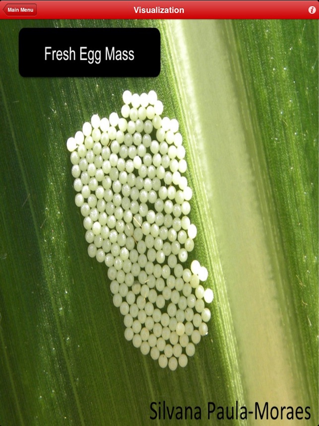 West Bean Cutworm Speed Scout screenshot 3 of 6