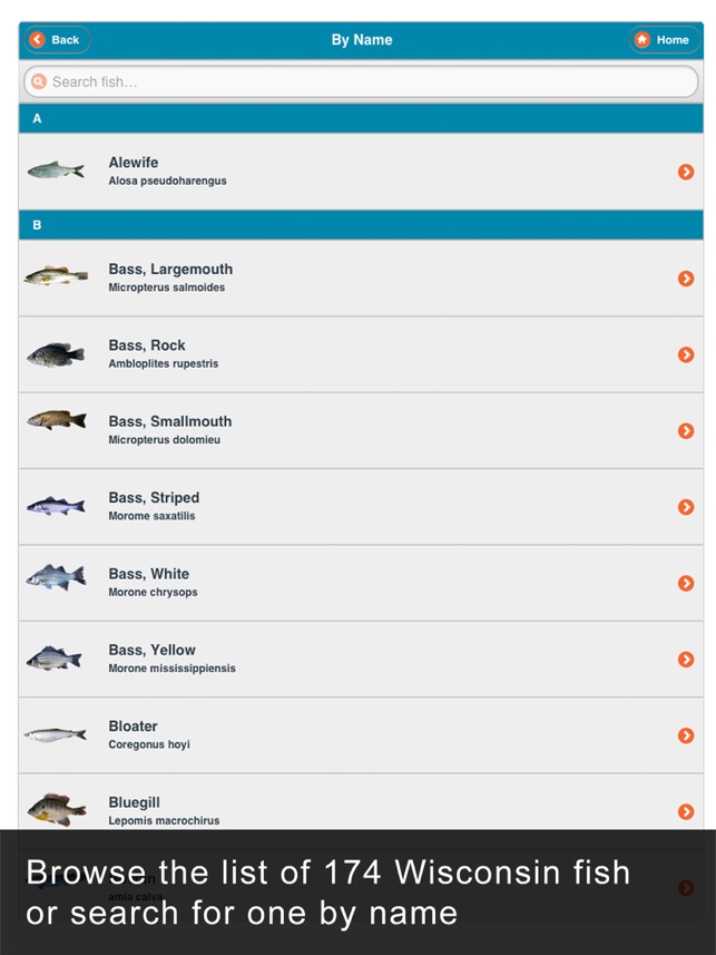 WI Fish ID screenshot 2 of 10