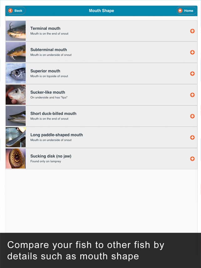 WI Fish ID screenshot 3 of 10