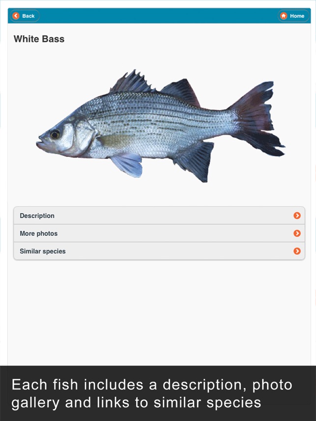 WI Fish ID screenshot 4 of 10