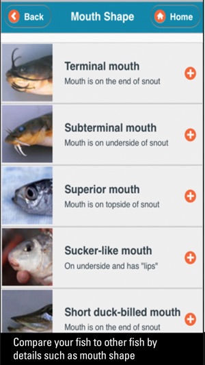 WI Fish ID screenshot 8 of 10