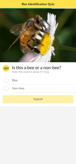 WiBee screenshot 6 of 9