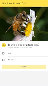 WiBee screenshot 9 of 9