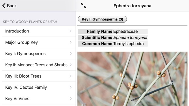 Woody Plants of Utah screenshot 5 of 5